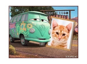 Moldura - Kombi Carros