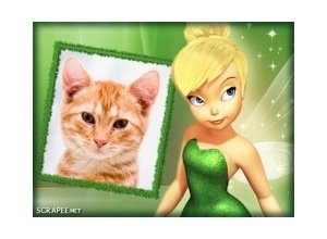 Moldura - Tinker Bell