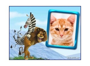 Moldura - Madagascar   Alex E Marty