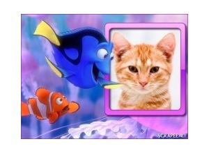 Moldura - Procurando Nemo