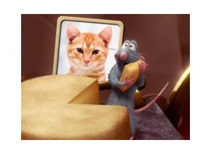 Moldura - Ratatouille