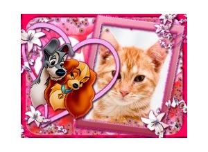 Moldura - A Dama E O Vagabundo