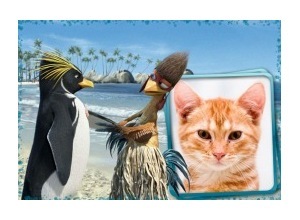 Moldura - Ta Dando Onda Pinguin E Galo