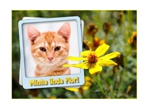 Moldura - Minha Linda Flor