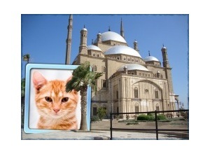 Moldura - Mesquita Mohammed Ali   Cairo