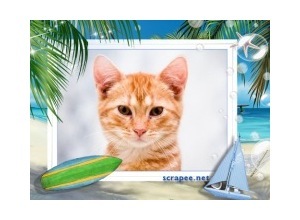 Moldura - Tema De Praia