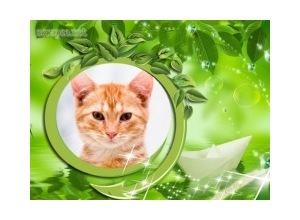 Moldura - Folhas Verdes E Barquinho