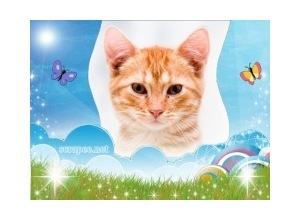 Moldura - Borboletinhas