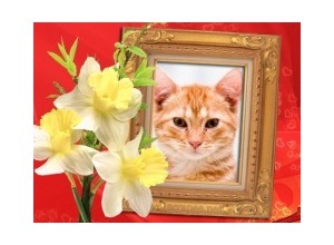 Moldura - Flores Com Moldura