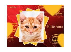 Moldura - Eu Te Amo Quadro