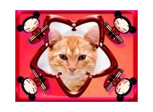 Moldura - Pucca Estrela