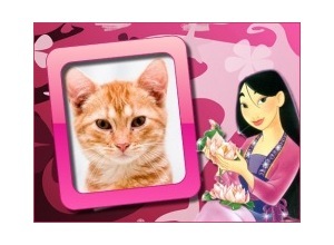 Moldura - Mulan Com Flores