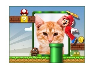 Moldura - Mario Bros