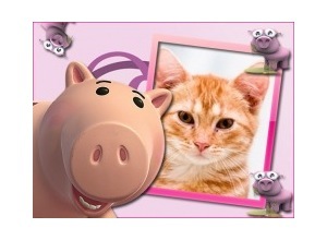 Moldura - Porquinhos