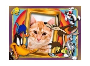 Moldura - Looney Tunes