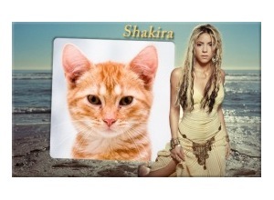 Moldura - Shakira