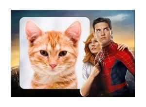 Moldura - Homem Aranha 3