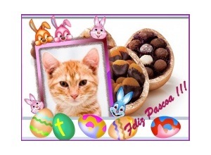 Moldura - Feliz Pascoa Coelhinhos