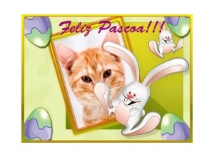 Moldura - Feliz Pascoa Coelhinho