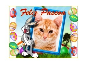 Moldura - Feliz Pascoa Perna Longa