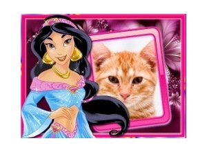 Moldura - Princesa Do Desenho Aladin
