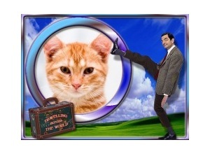 Moldura - Mister Been