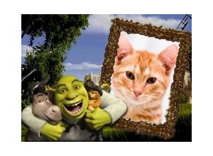 Moldura - Shreck Burro E Gato