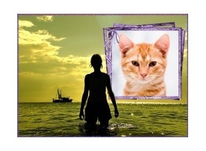 Moldura - Por Do Sol Esverdeado