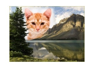 Moldura - Lago E Montanhas