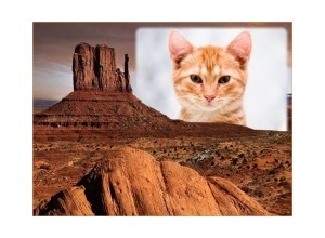 Moldura - Deserto Vermelho