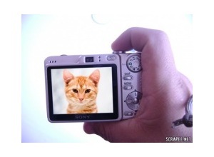 Moldura - Camera Digital