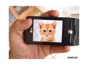 Moldura - Celular Lg Ks20