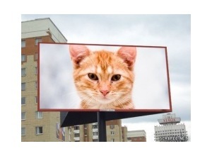 Moldura - Banner Na Cidade