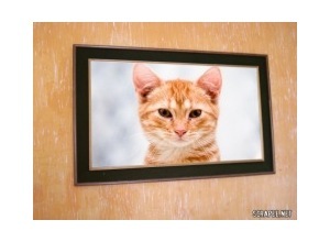 Moldura - Quadro De Parede