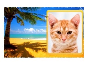 Moldura - Praia Ensolarada