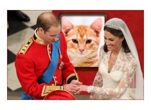 Moldura - Principe William E Kate