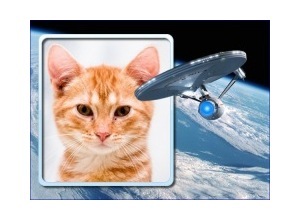 Moldura - Nave Star Trek