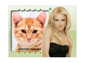 Moldura - Cantora Britney Spears