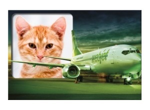 Moldura - Webjet Passagens Aereas