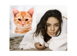 Moldura - Vanessa Hudgens