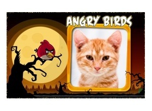 Moldura - Angry Birds