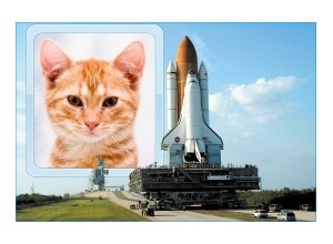 Moldura - Onibus Espacial