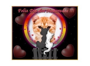 Moldura - Gatinhos Namorando