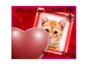 Moldura - Dia De San Valentin