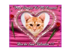 Moldura - Para Sempre Em Meu Coracao