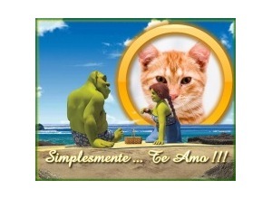 Moldura - Shrek Apaixonado