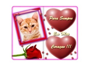 Moldura - Coracoes Com Rosa