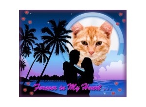 Moldura - Casalzinho Apaixonado