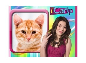 Moldura - Icarly