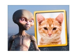 Moldura - Alienigena Magrelo